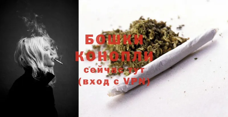 Конопля OG Kush  Новая Ляля 